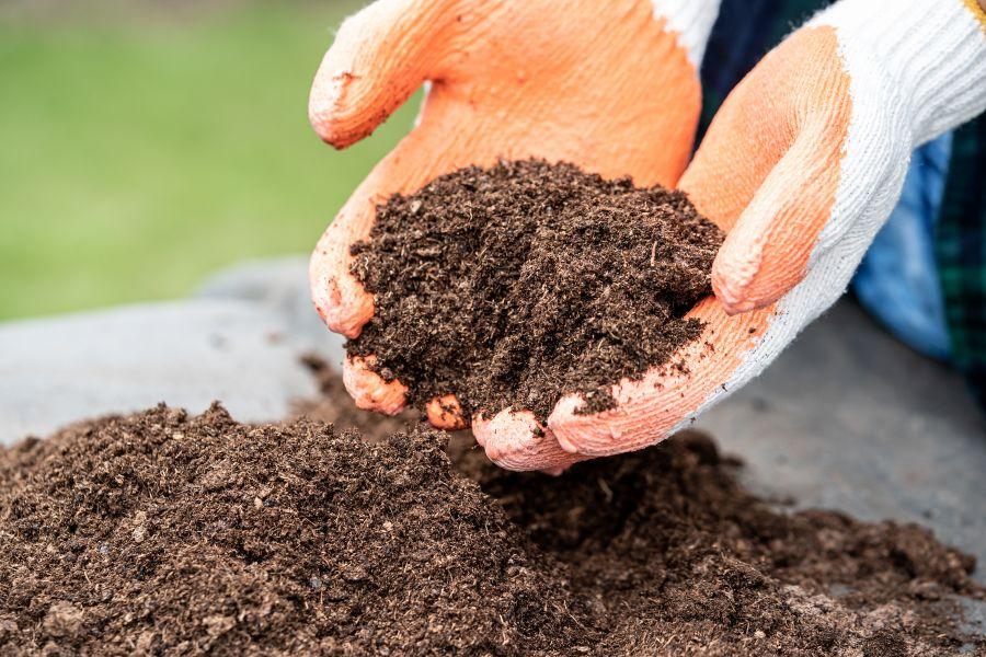 Person holding peat moss